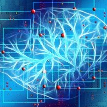 Inteligência Artificial ganha ‘vontade própria’ e mente ao ser confrontada por humanos - Pixabay