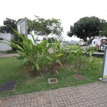 PBH promete reforma de praça na Pampulha idealizada por Burle Marx - Marcos Vieira/EM/DA Press