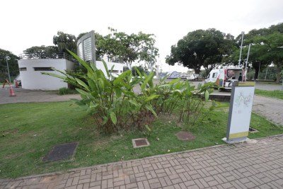 Os jardins da praça Dino Barbieri foram projetados por Roberto Burle Marx e devem ser preservados pela PBH em decorrência dos acordos de tombamento -  (crédito: Marcos Vieira/EM/DA Press)