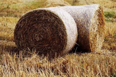 <p>A palha tem origem natural e uma versatilidade que permite sua presença nos mais diferentes tipos de produtos, tanto rústicos como sofisticados. Quem vê objetos de palha na moda ou na decoração nem sempre imagina a origem do material que se revela tão adaptável.</p>
 -  (crédito:  Imagem de Andrea por Pixabay)