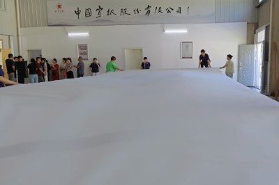 <p>Da engenharia à tecnologia, a China é lar de muitos feitos impressionantes realizados pelo ser humano.<br />
Um desses feitos é o maior papel do mundo, conhecido como Papel Xuan, uma obra-prima de manufatura artesanal com uma tradição milenar. </p>
 -  (crédito: Reproduc?a?o/YouTube)