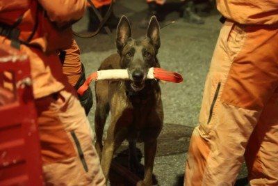 Quatro idosos ainda est&atilde;o sendo procurados em meio aos escombros  -  (crédito: Marcos Vieira/EM/D.A.Press)