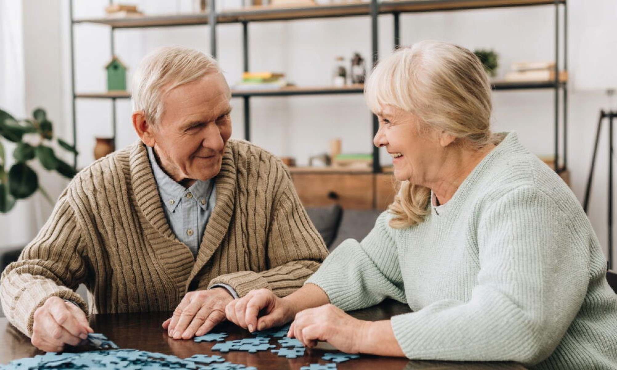 Direitos dos Idosos: 7 benefícios secretos que você pode estar perdendo -  (crédito: Tupi)