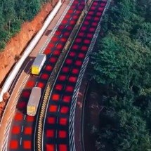 Índia inaugura estrada vermelha criada para proteger animais silvestres - Reprodução de vídeo