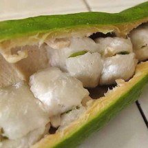 ‘Feijão-doce’? Conheça o ingá, fruta brasileira de polpa branca e sabor suave -  Koffer/Wikimédia Commons