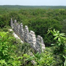 Arqueólogos encontram antiga cidade dos Maias em floresta mexicana - - PXFuel creative commons
