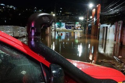 Bombeiros conseguiram resgatar os dois em segurança -  (crédito: CBMMG)