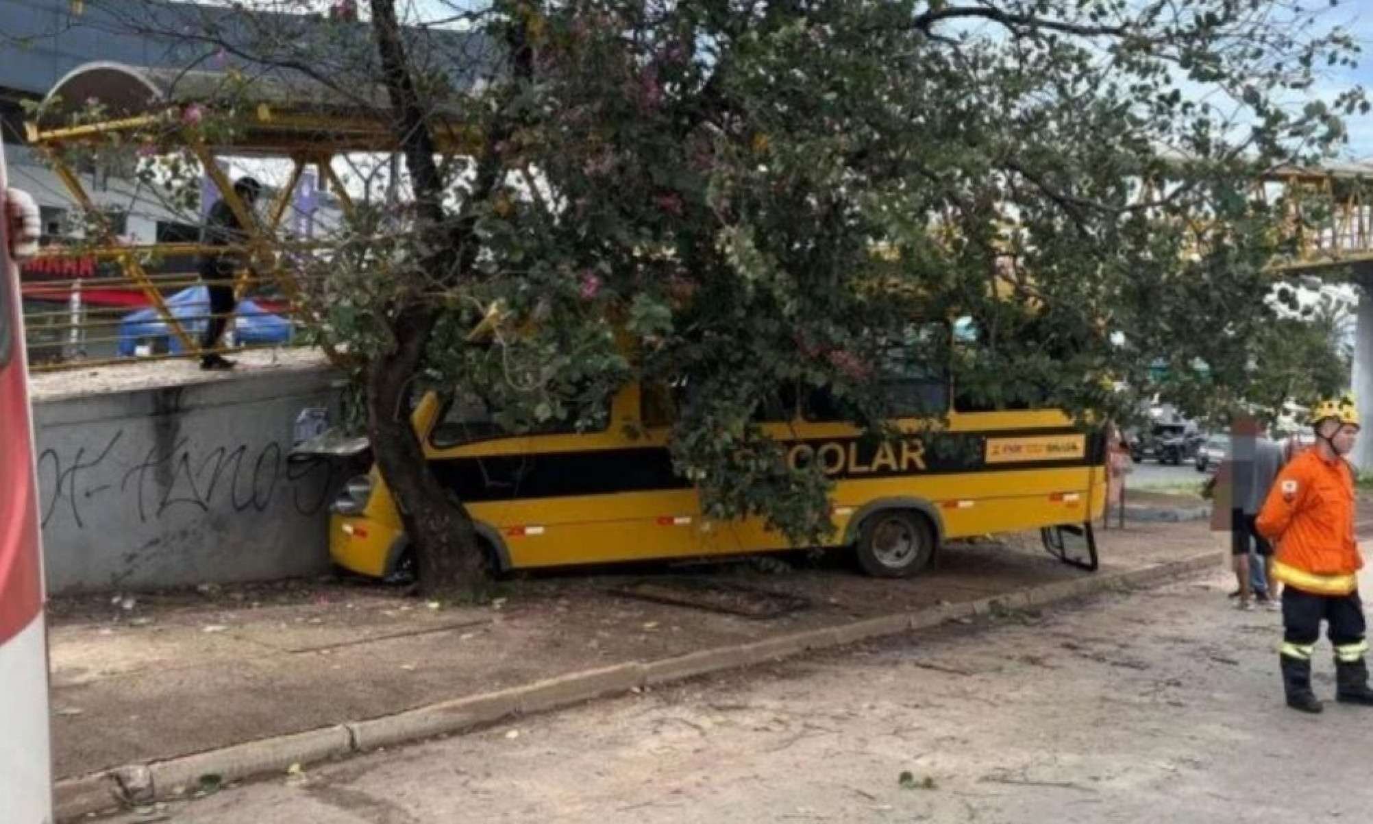 Acidente envolvendo ônibus escolar deixa ao menos 16 feridos -  (crédito: Tupi)