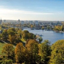 Alemães aderem ao “hobby dogging”: a curiosa tendência de passear com cão imaginário - Pixabay/Pexels