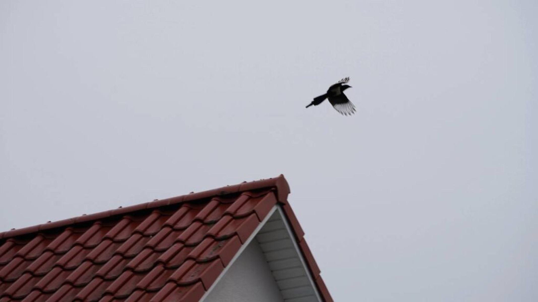 Síndrome de Pica: quando comer terra e objetos se torna um transtorno - Portal Giro 10