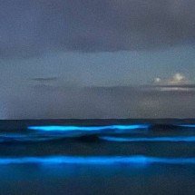 Bioluminescência: lugares pelo mundo que têm esse brilho espetacular - Reprodução Instagram @vidacaicara.uba