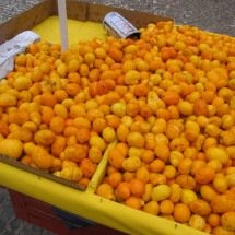 Frutas do Brasil que nem todos sabem que existem - Mateus Hidalgo/Wikipedia