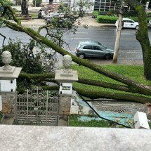 Árvore cai sobre casa tombada considerada a mais bonita de BH - Reprodução/Deborah Riedel