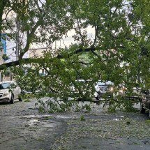 Carro é arrastado por correnteza em bairro de BH - Alexandre Perez/EM/D.A Press