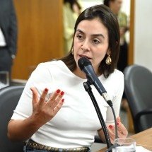 Lohanna sobre Zema: 'Leão contra Brasília e gatinho em Minas' -  Mirna de Moura/ALMG