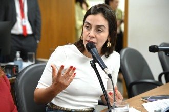  Lohanna (deputada estadual PV/MG) -  (crédito:  Mirna de Moura/ALMG)