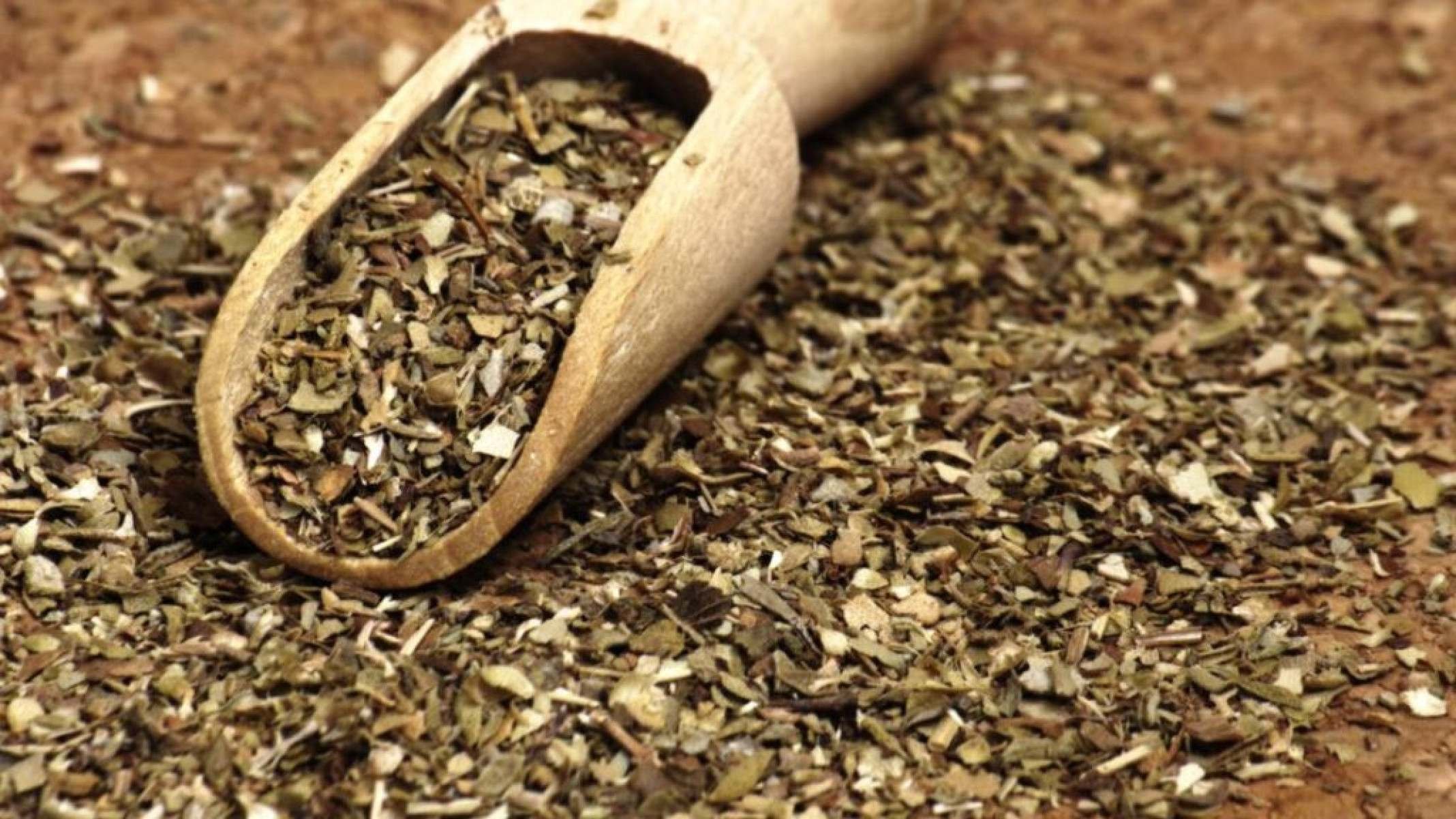 Como o orégano transforma o sabor e beneficia sua saúde - Portal Giro 10