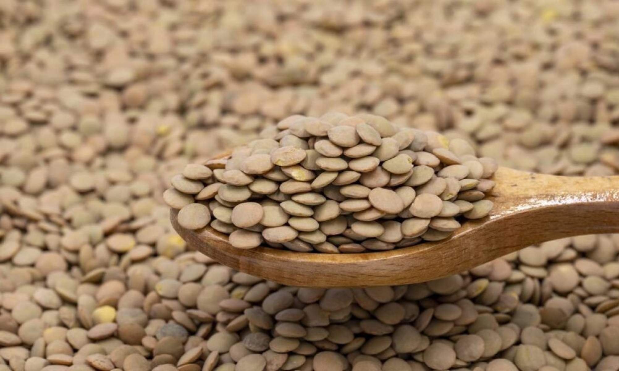 Benefícios da lentilha para o corpo que fazem muita gente incluir esse alimento na dieta -  (crédito: Tupi)