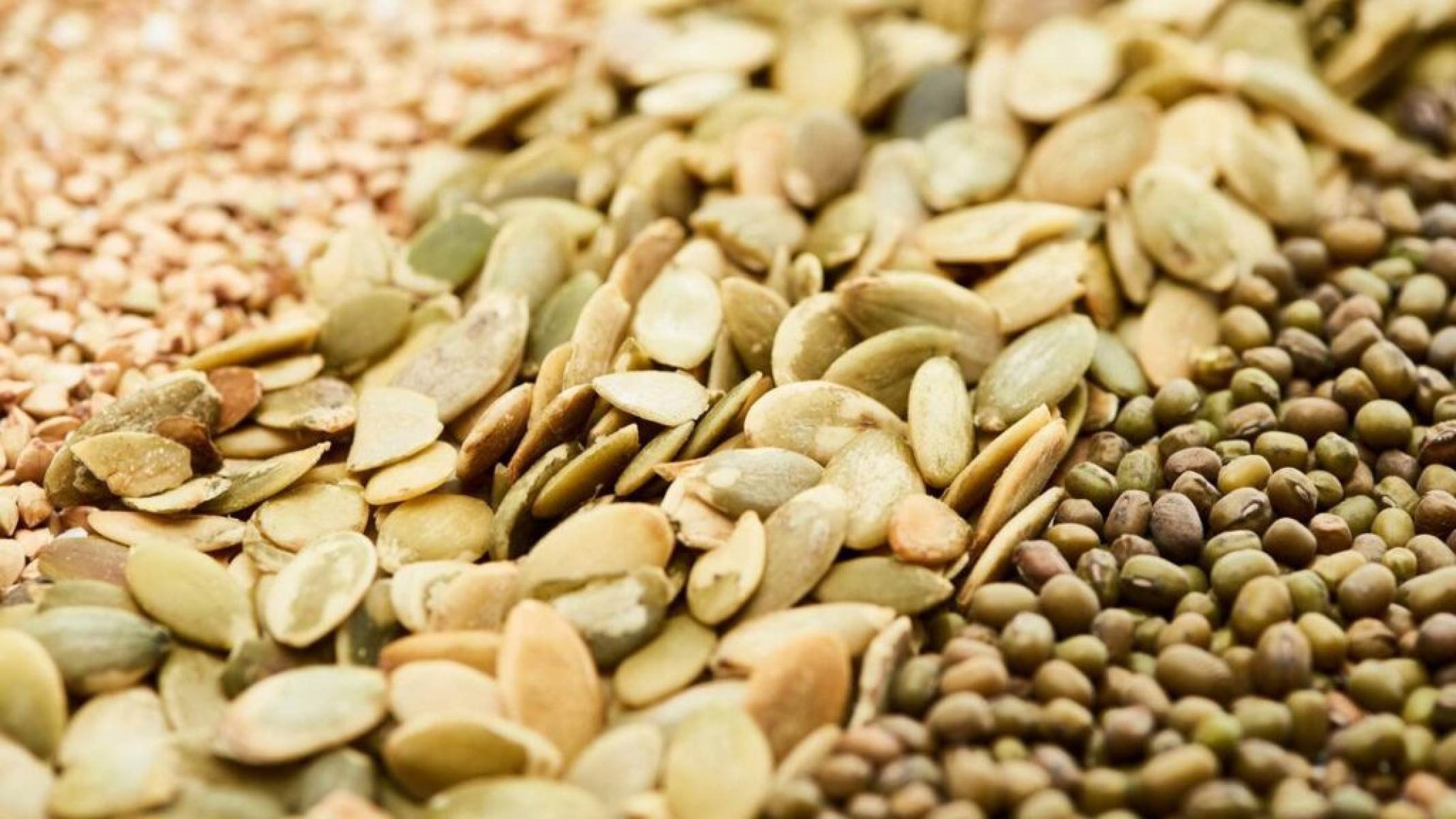 Segredos da dieta das gralhas: de sementes a pedras e argila - Portal Giro 10