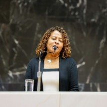 Leninha aciona TCE contra sigilo do governo Zema sobre renúncias fiscais - Alexandre Netto/ALMG