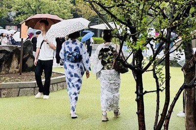<p>A cultura japonesa encanta o Ocidente com hábitos únicos. Um exemplo é o uso de guarda-chuvas em dias ensolarados. Mais do que sombra, esse costume reflete padrões de beleza, saúde e etiqueta social milenar.</p>
 -  (crédito:  - Reprodução do X @TravelStylist_)