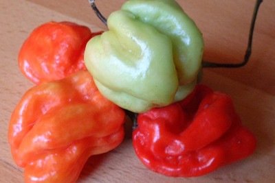 <p>Os países que mais utilizam pimenta na culinária costumam estar em regiões de clima quente e têm tradições gastronômicas marcadas pelo uso intenso de temperos. Um dos exemplos mais conhecidos é o México, o primeiro da lista que você verá agora.</p>
 -  (crédito:  Jastrow wikimedia commons )