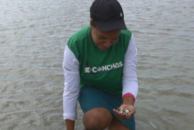 <p>Em Igarassu, Pernambuco, catadoras uniram-se a pesquisadoras da UFPE e empreendedoras em uma iniciativa sustentável. O projeto transforma conchas descartadas da coleta de mariscos em tijolos ecológicos, unindo preservação ambiental e inovação na construção.</p>
 -  (crédito: Reprodução TV Globo )