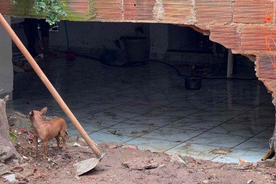 O jovem de 24 anos desapareceu ap&oacute;s ser arrastado pela &aacute;gua para dentro de uma galeria de drenagem durante uma enxurrada  -  (crédito:  Edesio Ferreira/ EM/ D.A Press)