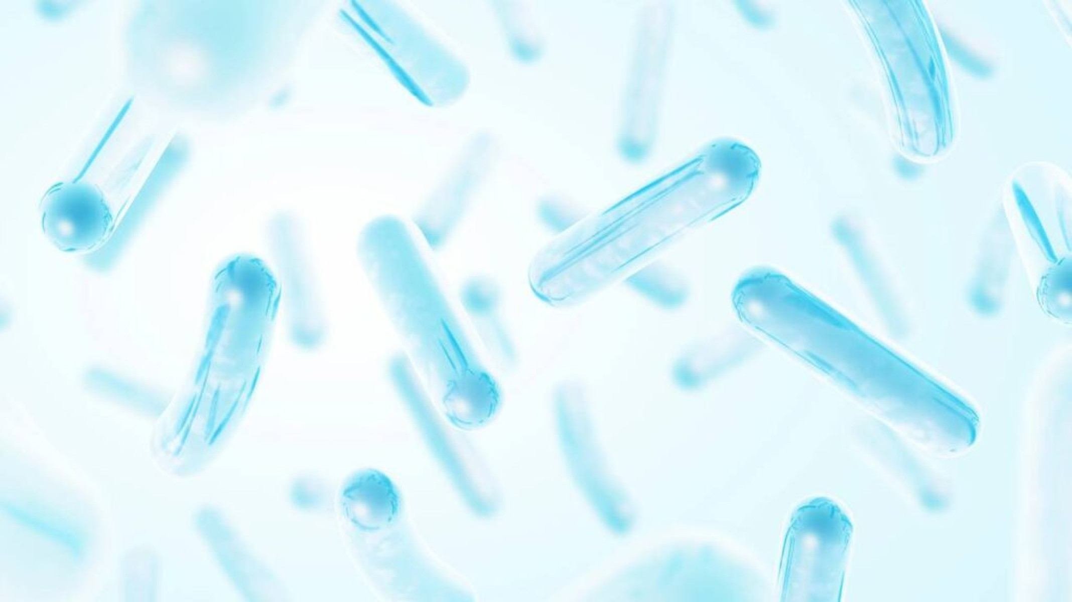 Bactérias do bem: o papel dos probióticos na saúde - Portal Giro 10