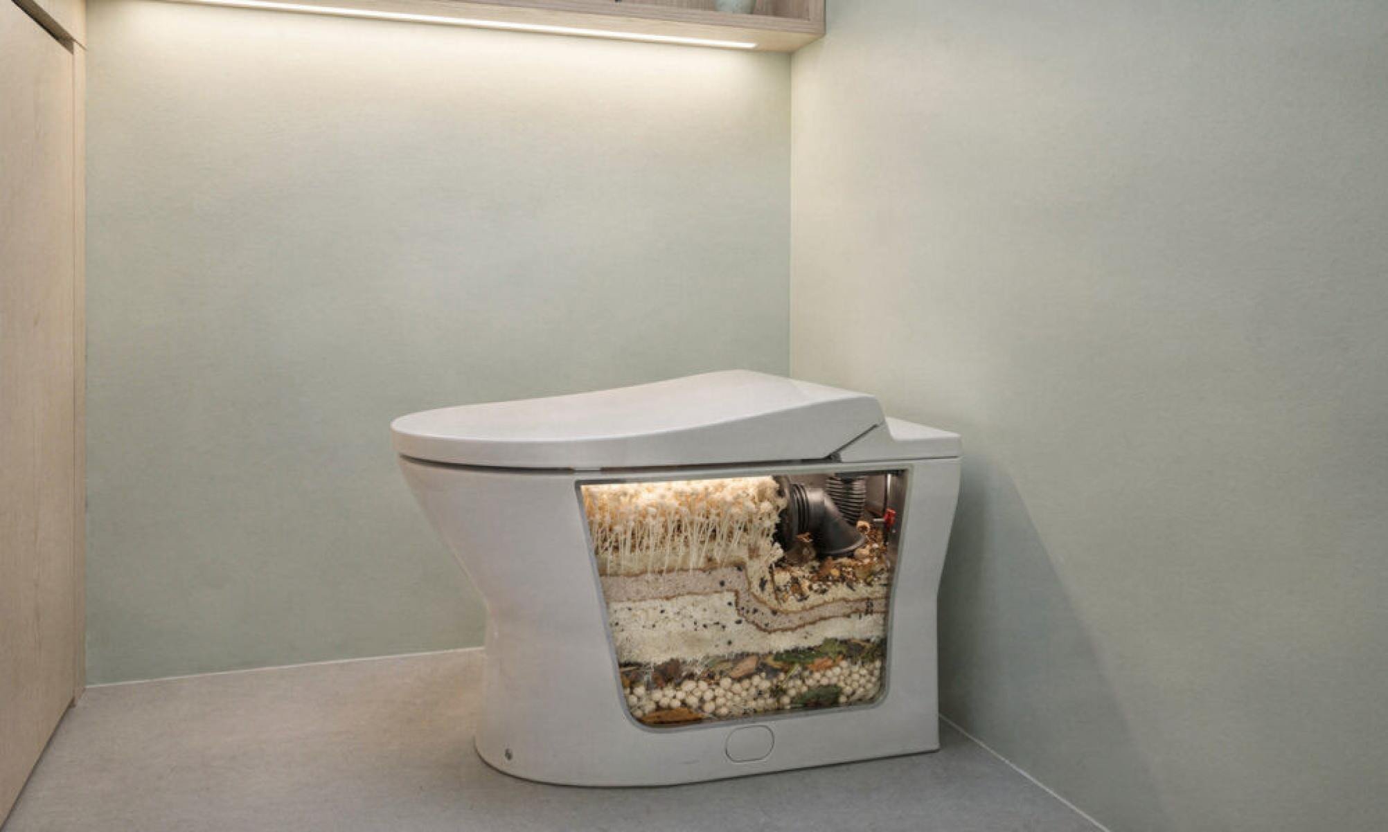 A inovação canadense que vai substituir o vaso sanitário tradicional e virar tendência na sua casa -  (crédito: Tupi)