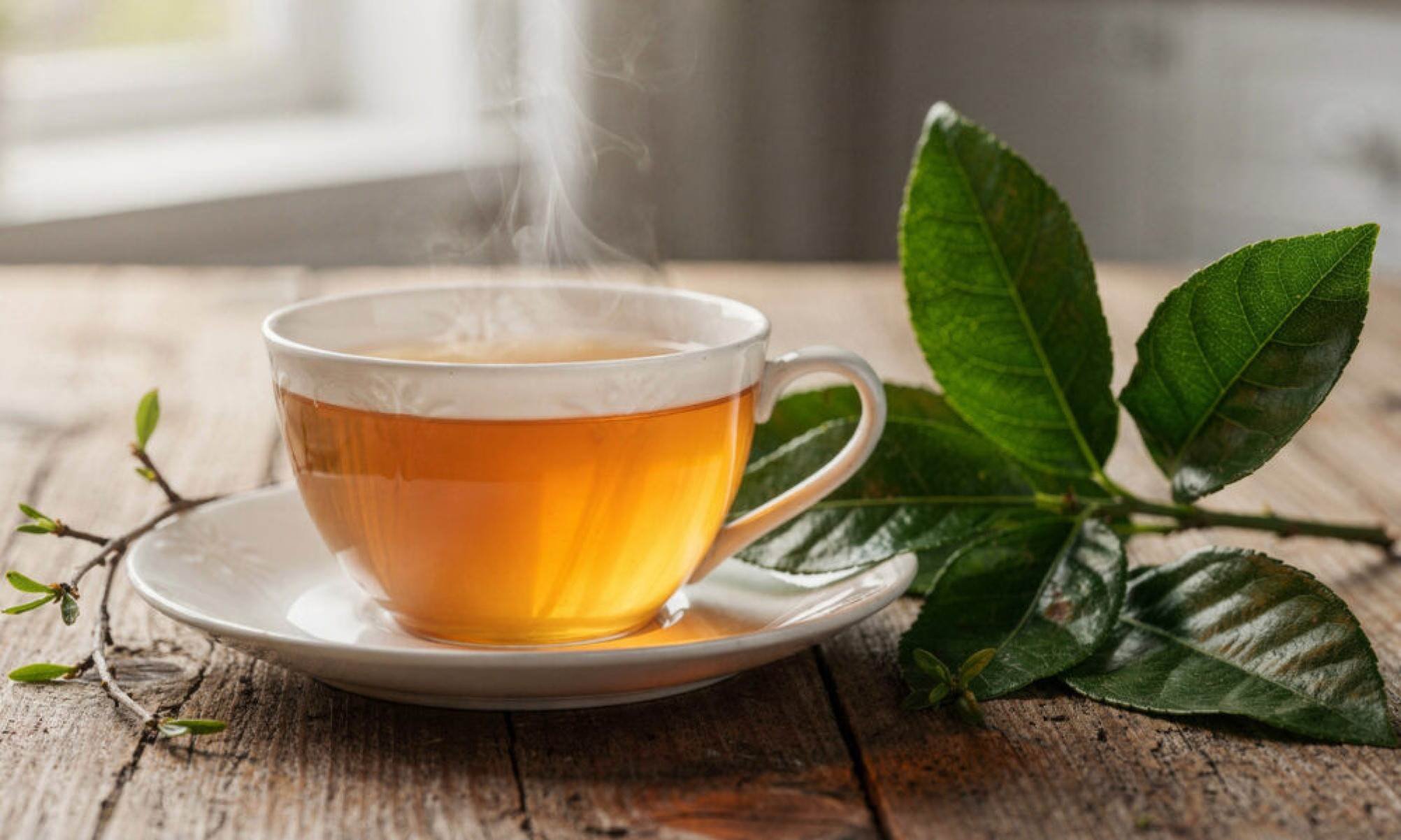 Os principais benefícios da folha de laranja e por que muita gente começou a usar no dia a dia - Tupi