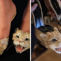 Animais viram acessórios dominam desfiles da Semana de Moda de Paris - Schiaparelli / Redes sociais