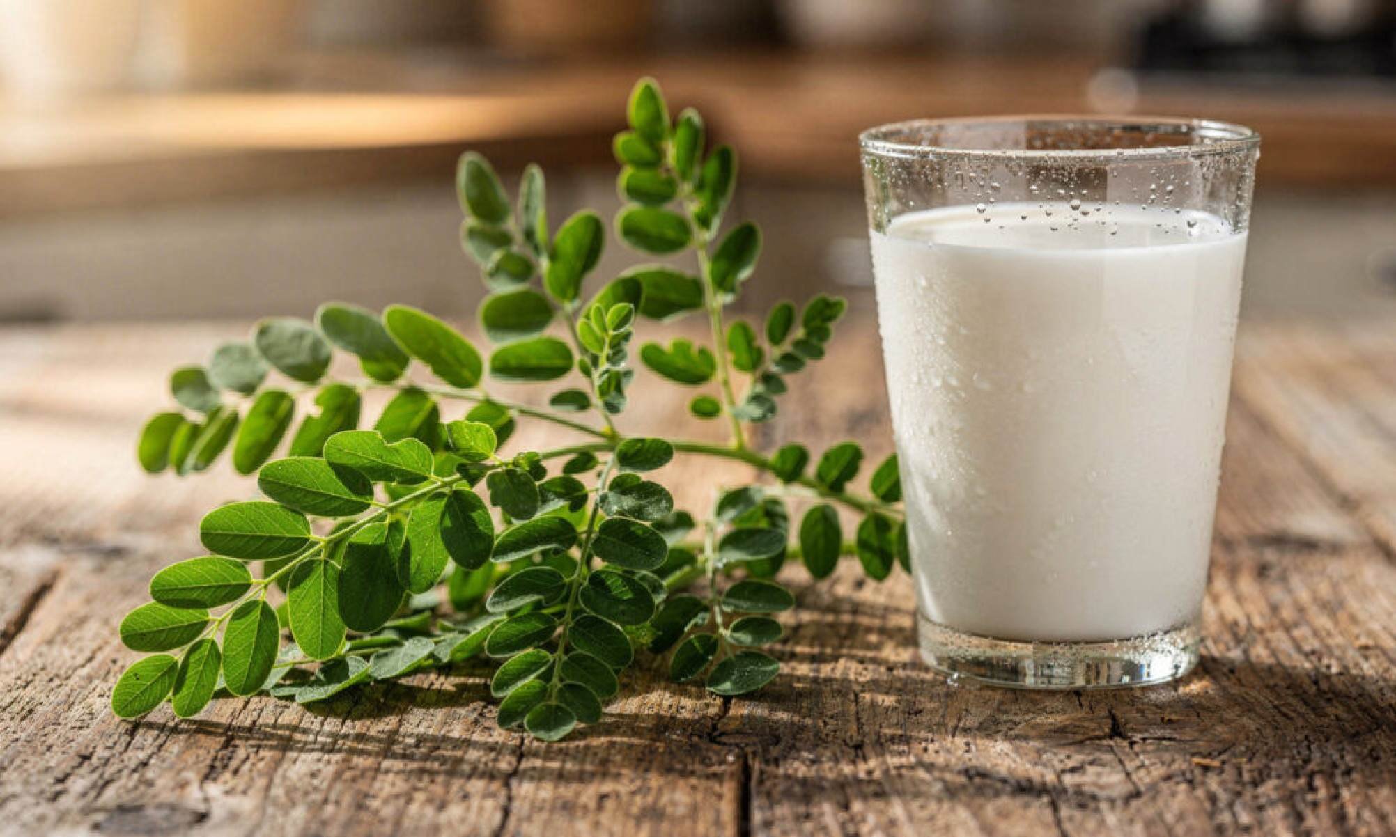 A planta com mais cálcio que o leite que muita gente tem no quintal e nem imagina o valor nutricional -  (crédito: Tupi)
