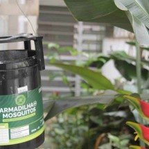 PBH vai instalar estações de larvicida na regionais para combater a dengue - Divulgação/PBH