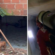 Bombeiros vasculham galeria em busca de jovem desaparecido na Grande BH - Edesio Ferreira/ EM/ D.A Press/Reprodução CBMMG