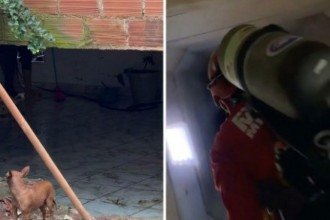  Os militares concentram as buscas na galeria pluvial onde o jovem foi arrastado, que deságua no Rio das Velhas. -  (crédito: Edesio Ferreira/ EM/ D.A Press/Reprodução CBMMG)