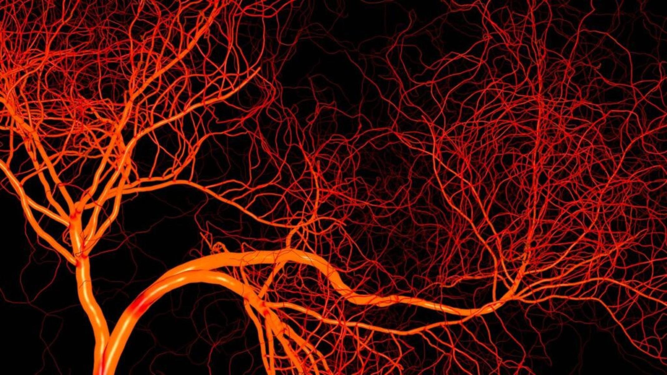 Perniose: como proteger sua pele do frio e evitar complicações - Portal Giro 10