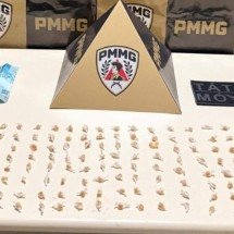 Homem agride mulher e atira drogas contra policiais no Vale do Rio Doce - Reprodução/PMMG