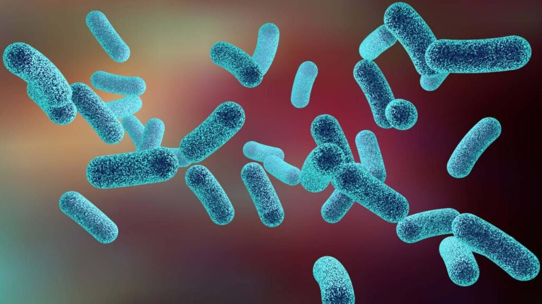 A importância da raríssima vitamina B12 para o corpo e a saúde - Portal Giro 10