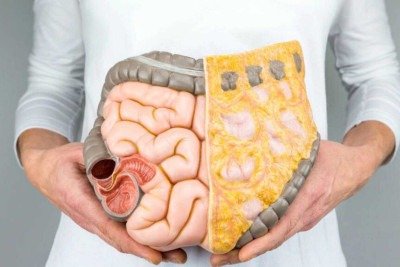 intestino -  (crédito: Portal Giro 10)