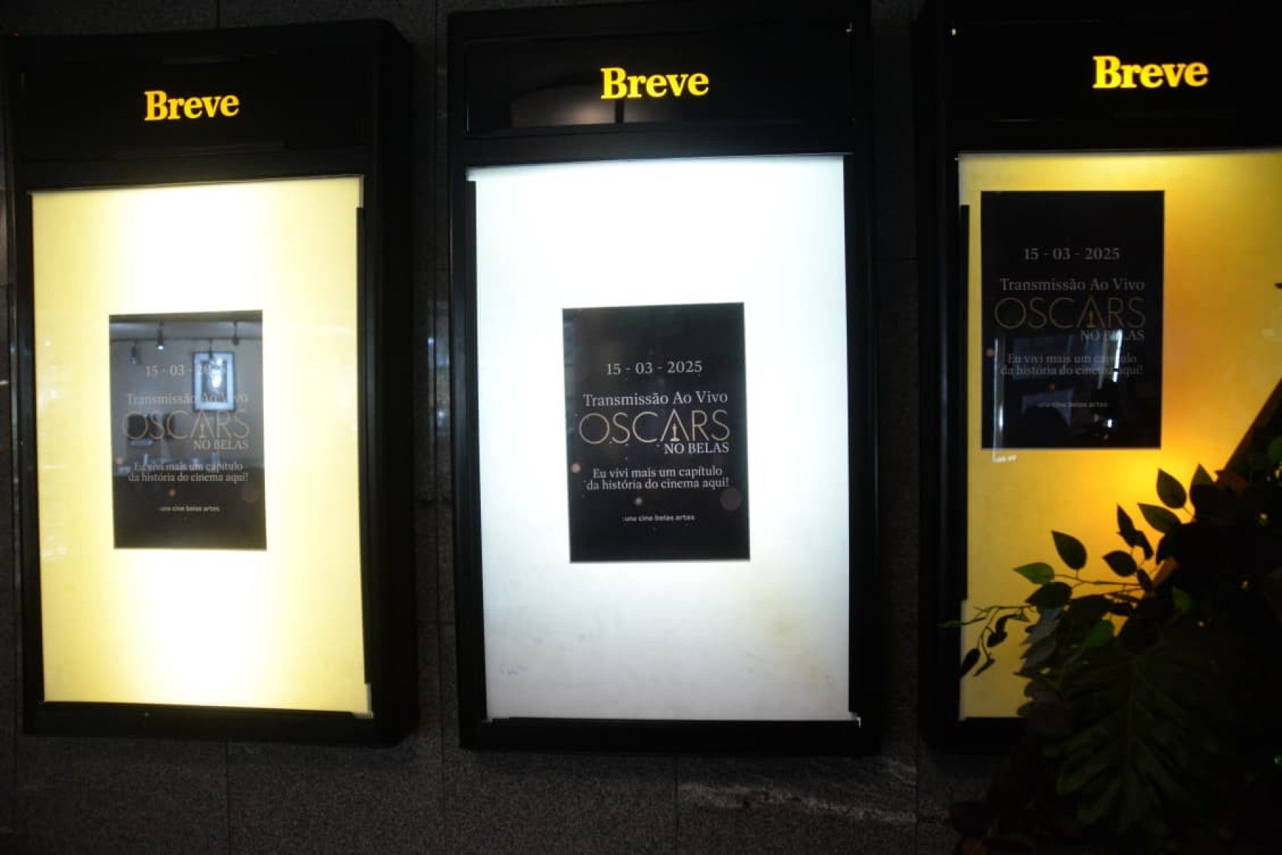 P&uacute;blico garantiu lugar com anteced&ecirc;ncia para acompanhar a cerim&ocirc;nia no UNA Cine Belas Artes