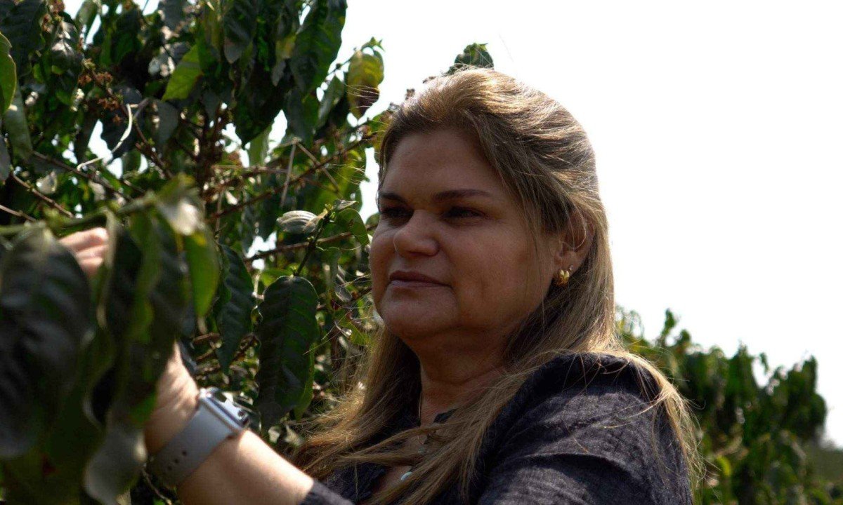 O caf&eacute; produzido na Chapada de Minas, regi&atilde;o formada por 22 munic&iacute;pios no Vale do Jequitinhonha, teve sua Indica&ccedil;&atilde;o Geogr&aacute;fica (IG) reconhecida pelo Instituto Nacional da Propriedade Industrial (INPI), na modalidade Indica&ccedil;&atilde;o de Proced&ecirc;ncia (IP).