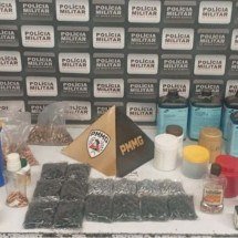 Homem suspeito de violência doméstica é preso com arsenal de armas em Minas - PMMG/Divulgação