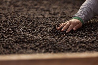 Café da Chapada de Minas tem Indicação Geográfica reconhecida