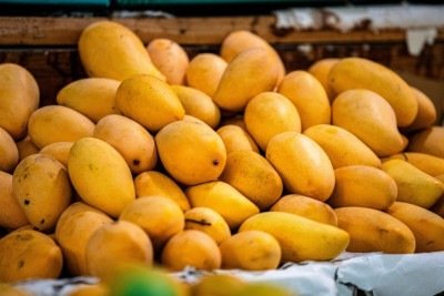 <p>Fruta tropical e refrescante, a manga é considerada a rainha deste tipo de alimento na Índia e é, em algumas culturas, símbolo de prosperidade, boa sorte e amor. Com isso, ela pode trazer inúmeros benefícios à saúde e está presente na cultura, como no carnaval carioca.</p>
 -  (crédito: Pixabay)