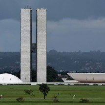 5 metáforas da política brasileira que você precisa conhecer - Pexels