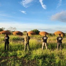 Operação mira BH e 11 cidades de Minas por 'lavagem' no setor de carvão - PCMG/Reprodução