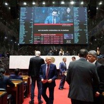 A matemática da eleição para deputados estaduais - ELIZABETE GUIMAR&Atilde;ES/ALMG