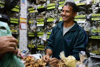 Parte dos mestres retratados no document&aacute;rio atua no Mercado Central, um dos principais pontos de venda de plantas medicinais na capital mineira -  (crédito: Divulga&ccedil;&atilde;o/Mestres Raizeiros)