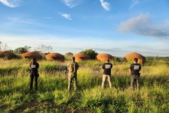 O esquema também causou danos ambientais significativos. Foram identificados cerca de 9 mil metros cúbicos de carvão vegetal com documentação irregular -  (crédito: PCMG/Reprodução)